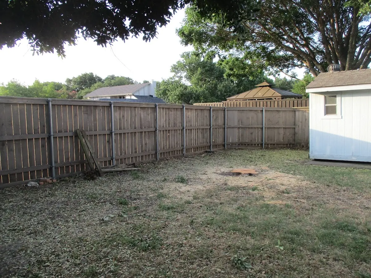 Cleared yard after professional tree removal in Great Barrington